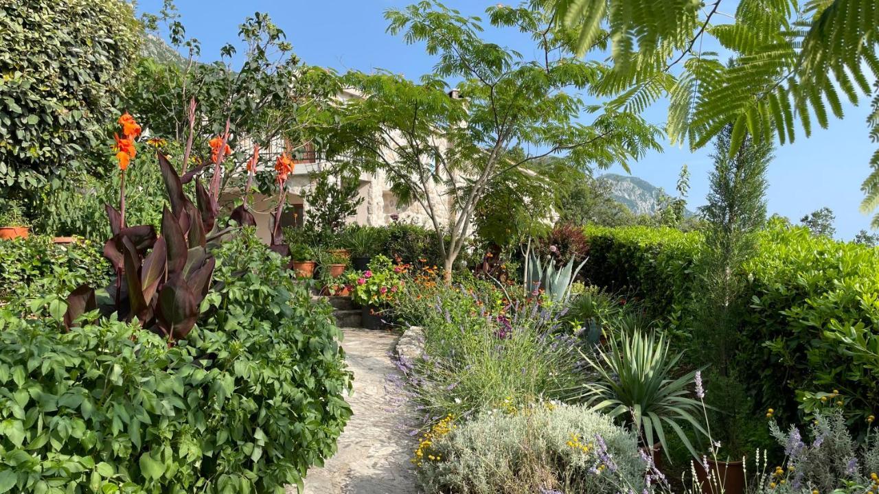 Mountains Villa Near Budva Exterior photo